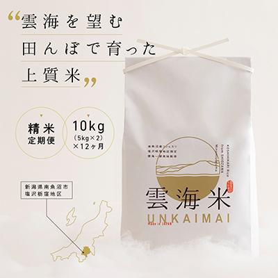 ふるさと納税 南魚沼市 【毎月定期便】南魚沼産コシヒカリ「雲海米」精米10kg全12回