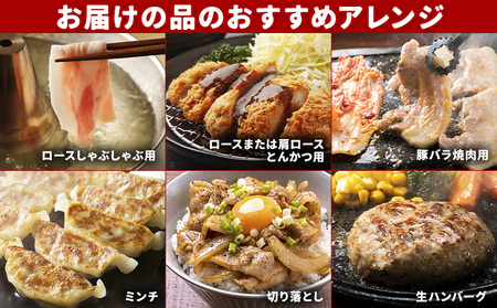 豚肉 バラエティセット【2回定期】 合計約5.8kg(2.9kg×2回)《申込み翌月から出荷)》 豚肉豚肉豚肉豚肉