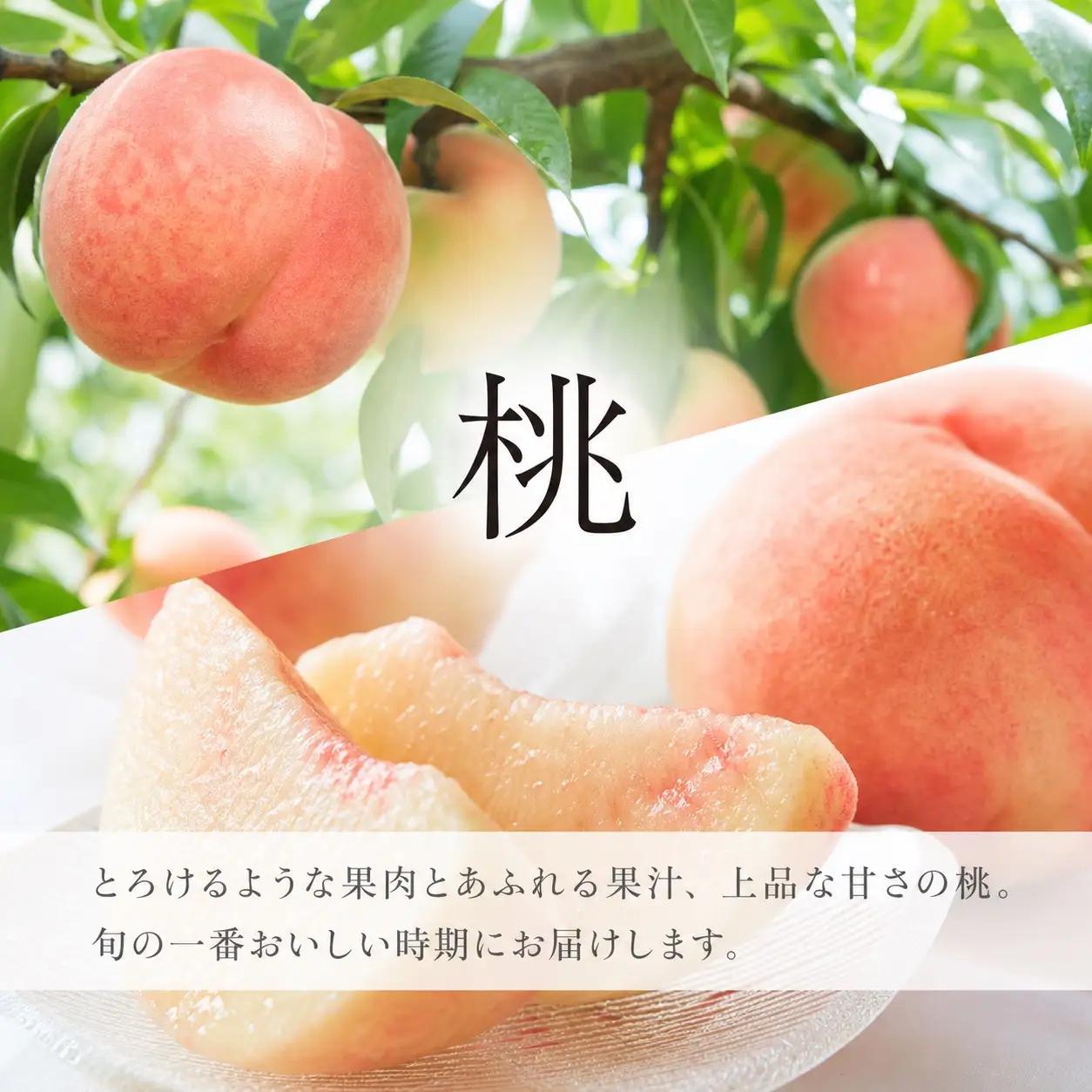 定期便【全2回/7・8月】かつらぎ町のフルーツ定期便（桃・梨）【tkb425】