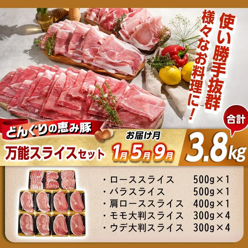 「どんぐりの恵み豚」エンジョイ定期便(10ヶ月)〔T80(10)-1102〕_(都城市) スライスセット 焼肉 スペアリブ こま切れ しゃぶしゃぶセット ブランド豚 10ヶ月 毎月お届け 毎日のお料理