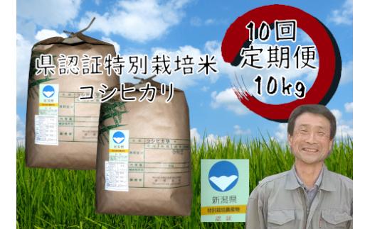 【令和7年産新米】【10か月定期便】特別栽培米 コシヒカリ 10kg×10回 新潟県認証  1G03401