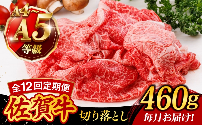 
                  【12回定期便】A4 A5等級 佐賀牛 切り落とし 460g /焼肉どすこい [UCC026]
                