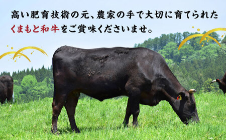 【6回定期便】くまもと黒毛和牛 サーロインステーキ 計400g（2枚）【馬刺しの郷 民守】霜降り サーロイン ステーキ  [ZBL080]