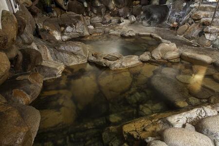 【国登録有形文化財　旅館大橋】平休日1泊2食付 ペア宿泊券《和室》