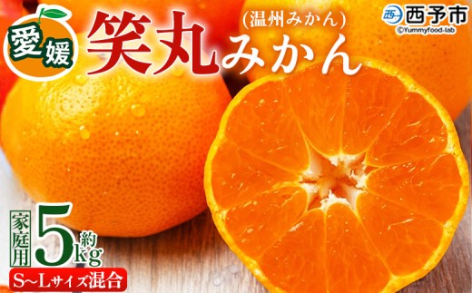 ＜愛媛県明浜産 笑丸みかん（温州みかん）約5kg S～L混合＞ 家庭用 訳あり ワケアリ 果物 くだもの フルーツ ミカン 柑橘 特産品 笑丸 愛媛県 西予市【常温】『2026年11月中旬～2027年1月上旬迄に順次出荷予定』