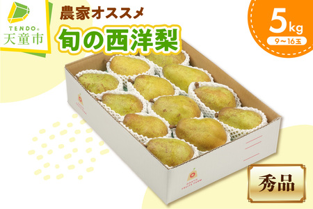 農家オススメ 旬 の 西洋梨 5㎏ フルーツ 果物 山形 08-03-098