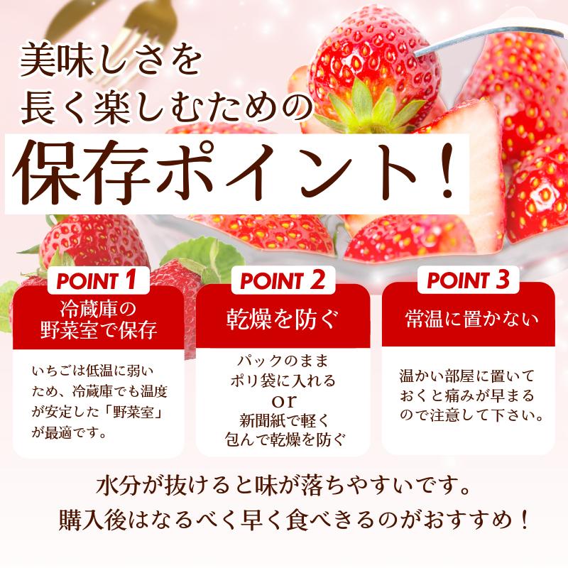【 先行予約 】 いちご 500g 紅ほっぺ 苺 イチゴ ストロベリー 数量限定 1万円未満 徳島県産 strawberry ichigo itigo 2月上旬より順次出荷 徳島県