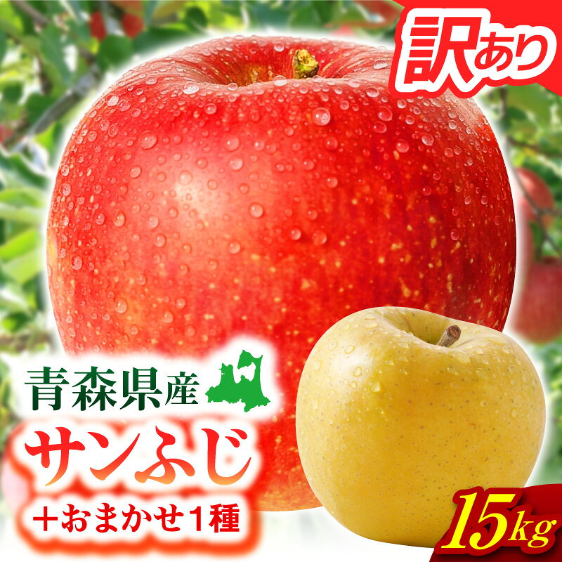 【ふるさと納税】★大容量★【 訳あり 】 サンふじ 他1種 りんご 詰め合わせ 15kg ( 配送時期が選べる 11月～3月) / ふじ 林檎 アップル 不揃い 規格外 フルーツ 果物 くだもの 秋 旬 青森県 五所川原市
