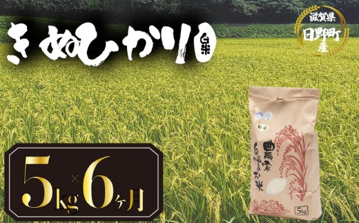 【 令和8年産 米 5kg 定期便 6ヶ月 】 きぬひかり 米 白米 国産 滋賀県 日野町 農家直送 お米 おこめ こめ 産地直送 ふるさと納税