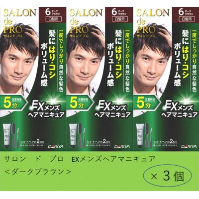 ふるさと納税 稲沢市 ダリヤ　サロン ド プロ 　EXメンズヘアマニキュア 《ダークブラウン》3個セット