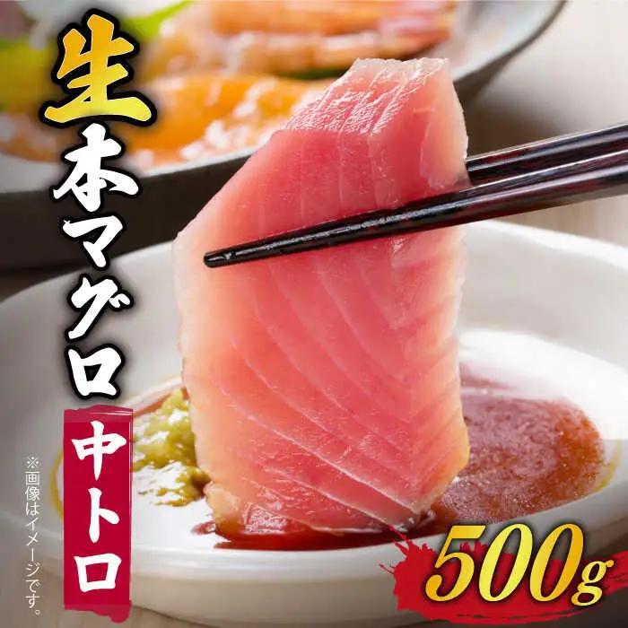 五島列島産養殖生本かみまぐろ 中トロ 刺身 500g[RBP051] 本マグロ 本まぐろ 本マグロ 本まぐろ 本マグロ 本まぐろ 本マグロ 本まぐろ 本マグロ 本まぐろ九州 長崎
