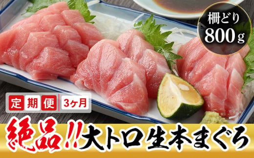 【定期便3回】冷蔵でお届け！大満足！生本マグロ 大トロ（柵どり） 800g × 3回お届け （毎月お届け）