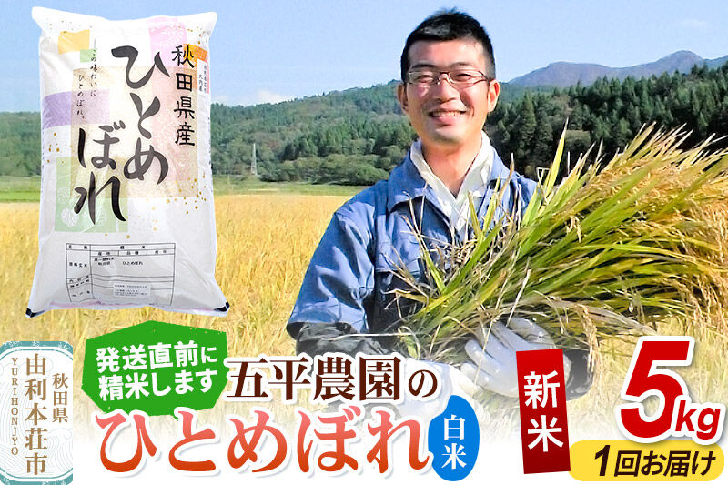《令和8年産 新米受付》【白米】ひとめぼれ 5kg 秋田県産 五平農園のひとめぼれ [ひとめぼれ 新米受付 米 お米 こめ 白米 精米 ブランド米 食卓 おにぎり 秋田県産]