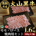 【ふるさと納税】大山黒牛焼肉セット(モモ800g・ロース800g)鳥取県 大山 境港市 牛肉 肉 焼肉用 もも ロース セット 2種 冷凍 贈答 プレゼント ギフト【T-AC16】【大山ブランド会】