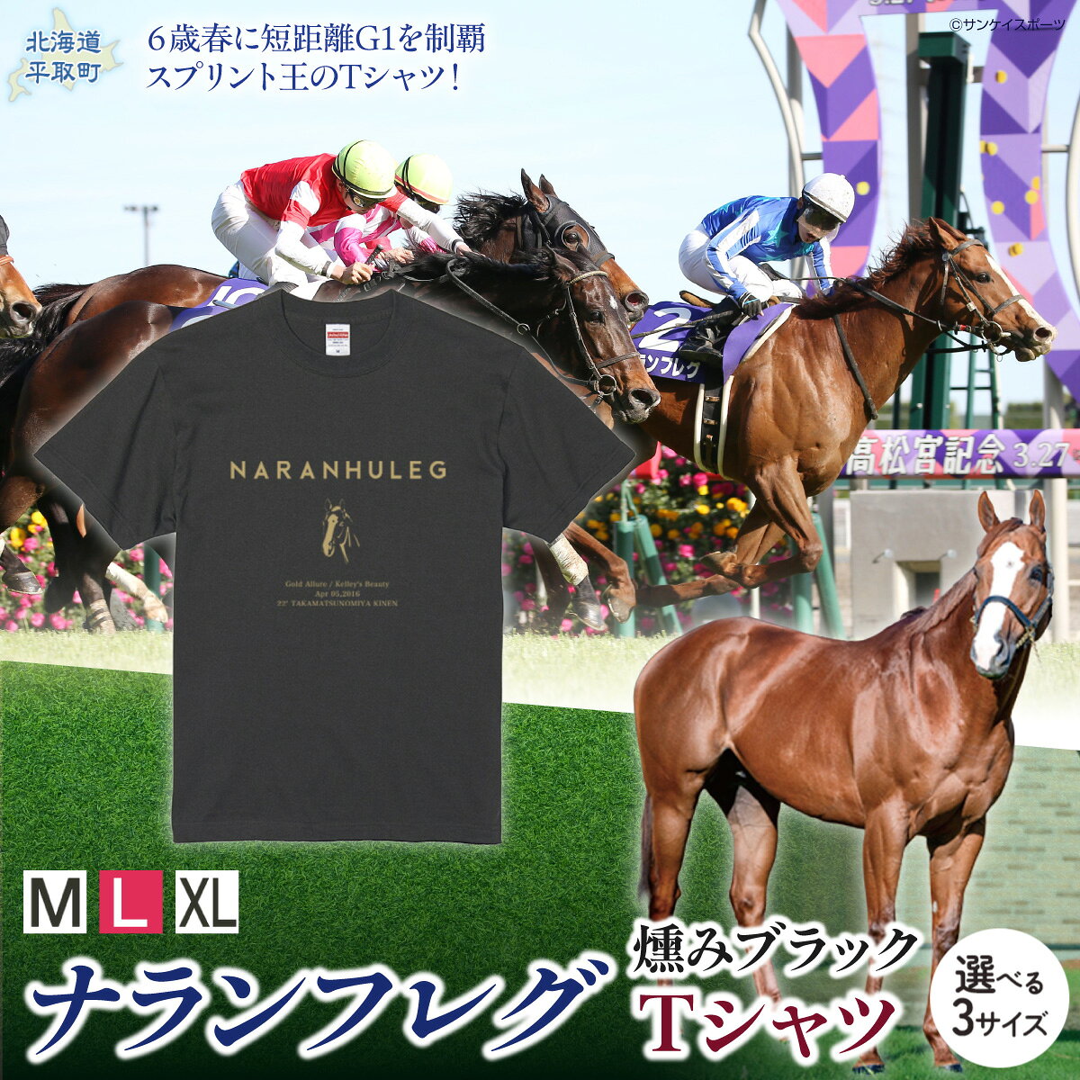 【ふるさと納税】【ナランフレグ】（燻みブラック）Tシャツ 選べる3サイズ【М・L・XL】 【ふるさと納税 人気 おすすめ ランキング 馬 競馬 競走馬 引退馬 ナランフレグ Tシャツ シャツ 服 生活 日高 北海道 平取町 送料無料】 BRTV350-v