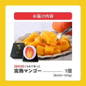 くるめで育った完熟マンゴー (1玉:約450~500g)_Fm015