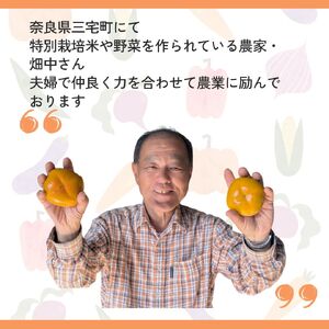 ひらたね柿 たねなし柿 種無し柿 平たね柿 柿 奈良県産5kg カキ 甘い