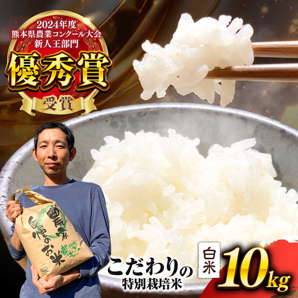 【ふるさと納税】【先行予約】 【令和7年度】 くまさんの輝き 白米 10kg (1袋) （2025年10月下旬ごろ順次発送） 米 こめ 白米 ご飯 ごはん コメ お米 精米 熊本県産 産地直送【坂本農園】[AYCC035]