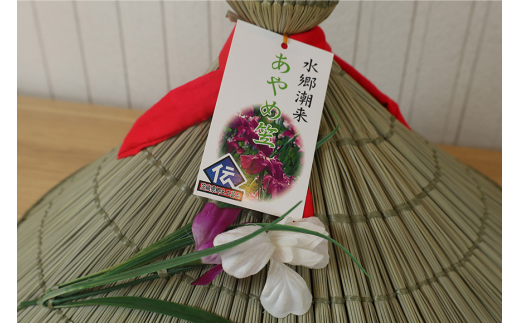 あやめ笠 大笠 赤 1個 手作り 九州熊本産い草使用 伝統工芸品 笠 帽子 風情ある和風雑貨 職人手作業 茨城県 潮来市 (A24-004)
