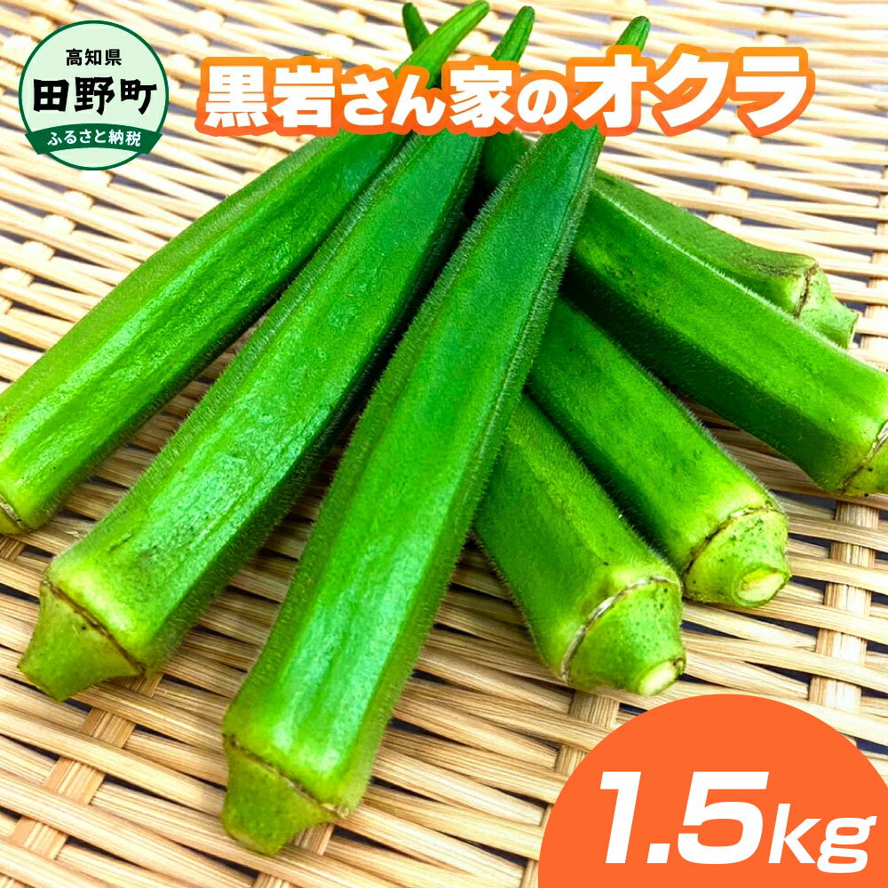 【ふるさと納税】黒岩さん家のオクラ 1.5kg 1.5キロ オクラ 国産 おくら 国産オクラ 夏野菜 新鮮野菜 美味しい 野菜 厳選 新鮮 おかず 常温 配送 副菜 惣菜 煮物 朝どれ 詰め合わせ 取り寄せ グルメ お取り寄せグルメ サラダ ふるさとのうぜい 返礼品 高知県 高知 6000円