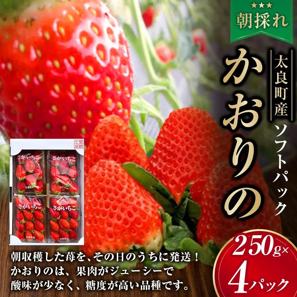 N252x1 【2027年1月上旬-2027年4月下旬】太良町産「かおりの」約250g×4P　生産者直送！朝採り苺！太良町 かおりの 国産 佐賀県産 太良町産 いちご 朝採り 果肉 ジューシー 糖度高め 葉隠工房 レトロカフェ