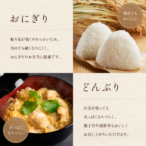 【12ヵ月定期便】北海道南るもい産【ゆめぴりか】(玄米)5kg R011-043