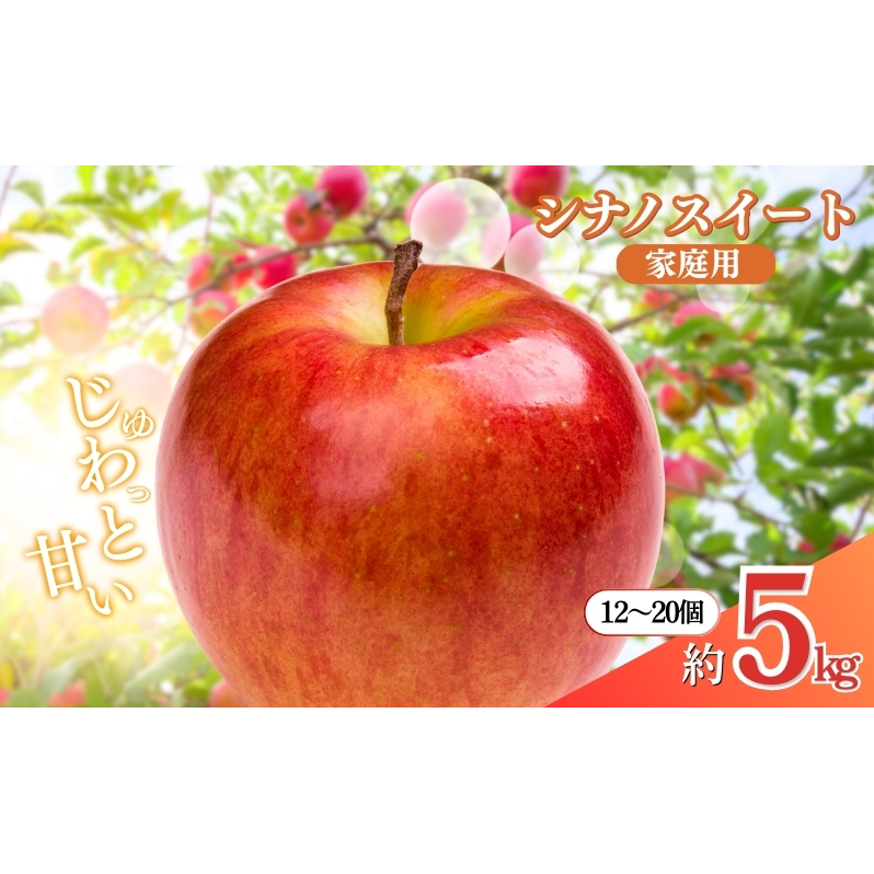 2026年産 長野市産シナノスイート家庭用 約5kg オンライン決済限定 果物 フルーツ デザート 食後 おやつ 長野県産 信州 甘い 交配品種 酸味が少ない りんご 