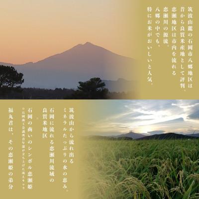ふるさと納税 茨城県 食味ランク【特A】茨城県オリジナル★筑波山麓厳選米★【福丸】白米5kg 令和7年産 |  | 02
