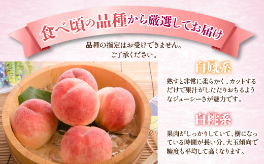 ＜2024年先行予約＞山梨県産 旬の桃 2kg以上(5～8玉)  180-004