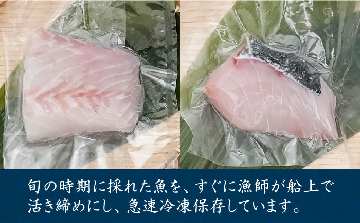 【ANA限定】ヒラマサ、クエ 1人前 壱岐玄海船団丸の魚（切り身）セット ～ANAシェフ和食レシピ付き～ [JFC005]