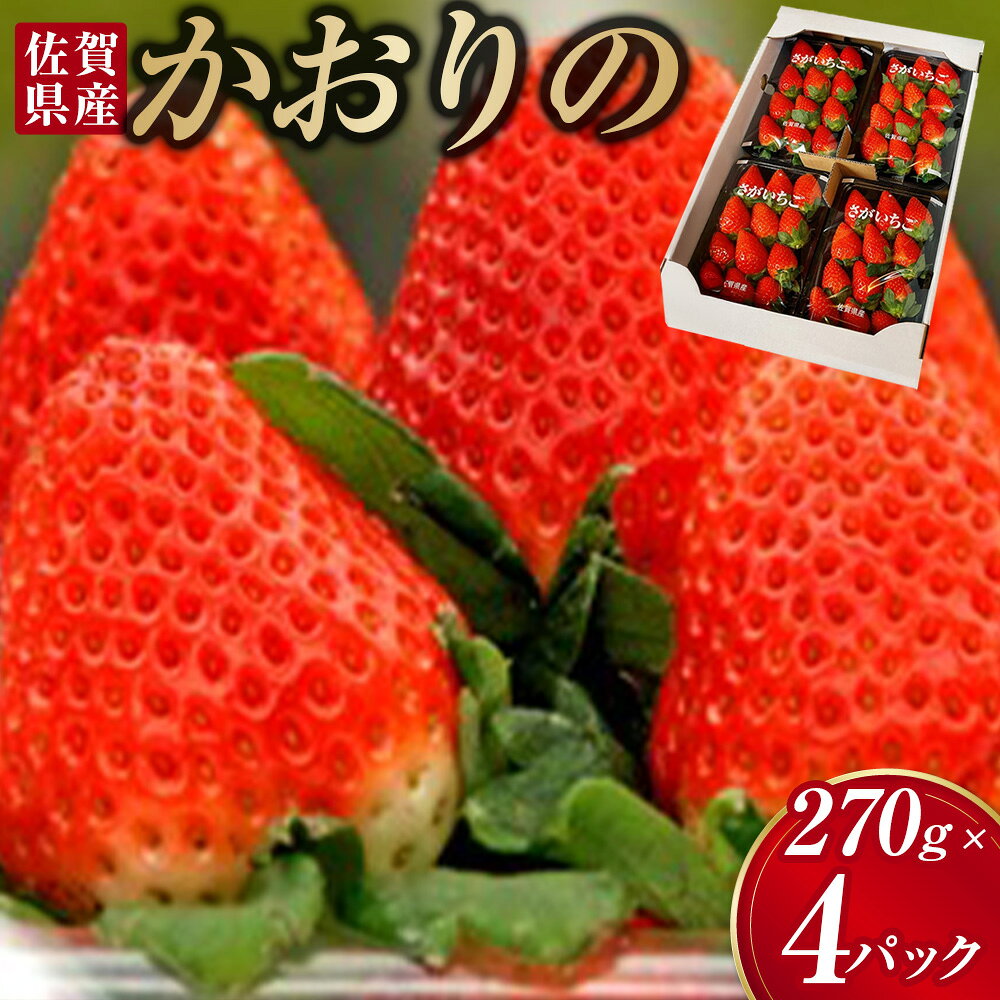 【ふるさと納税】NB5x1 【2027年1月上旬-2027年4月下旬】太良町産「かおりの」ソフトパック4P 生産者直送！朝採り苺！