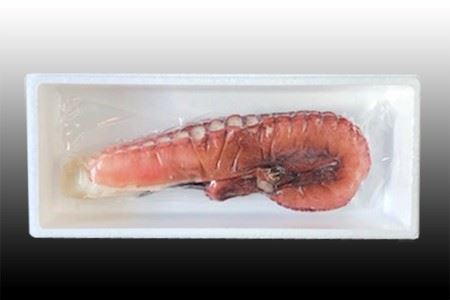 【北海道根室産】たこ足800g～1.4kg×1本 A-36051