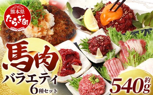 【12月発送】6種馬肉バラエティ 約540g タレ付き 食べ比べ 冷凍 赤身 031-0437-12