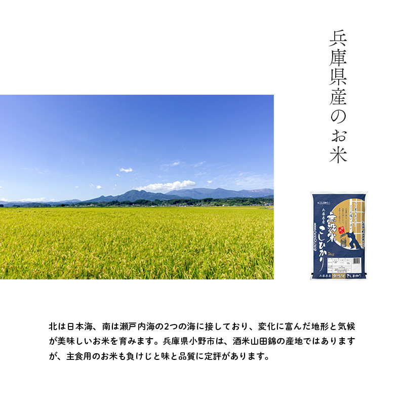 兵庫県産 コシヒカリ 無洗米 10kg ( 5kg × 2袋 ) [ お米 米 おいしい こしひかり 兵庫県 小野市 ] 精米 白米 ご飯 品質 手間いらず しゃっきり 歯ごたえ 爽やか さっぱり お