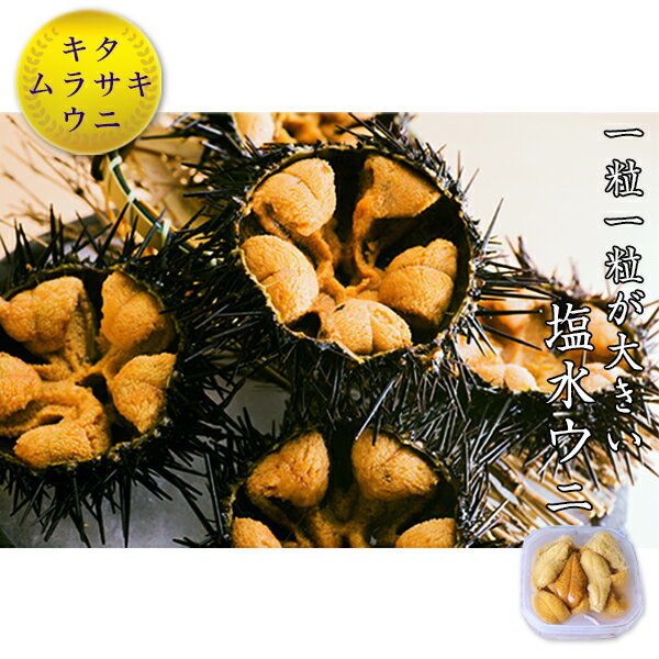 【ふるさと納税】 《数量限定》北海道福島町　キタムラサキウニ　塩水ウニパック　100×2パック 【 ふるさと納税 人気 おすすめ ランキング うに ウニ 雲丹 キタムラサキウニ 新鮮 大粒 ミョウバン不使用 数量限定 寿司 刺身 贈答 贈り物 ギフト プレゼント 北海道 】 FKF001