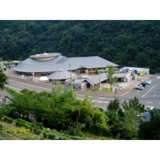 道の駅ことなみ 源泉 美霞洞温泉 エピアみかどご招待入浴券(10枚)