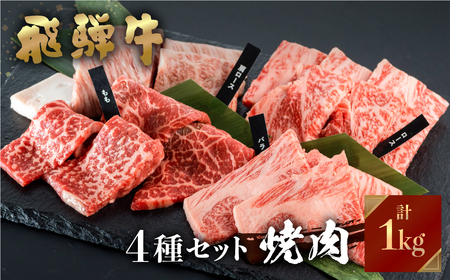 飛騨牛 焼肉 250g×4種 食べ比べ セット 1kg 3～5人前 焼き肉 もも ロース バラ 肩ロース バーベキュー BBQ JAひだ[S202] 年内配送 年内お届け