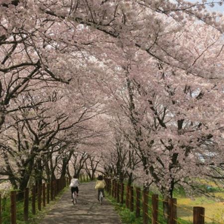 【返礼品なし】岐阜県輪之内町ふるさと応援寄附(一口:50,000円)