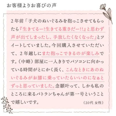 ふるさと納税 糸島市 「パトラン」(重たいぬいぐるみ)《糸島》【科学工房未來】[AYI001] |  | 03