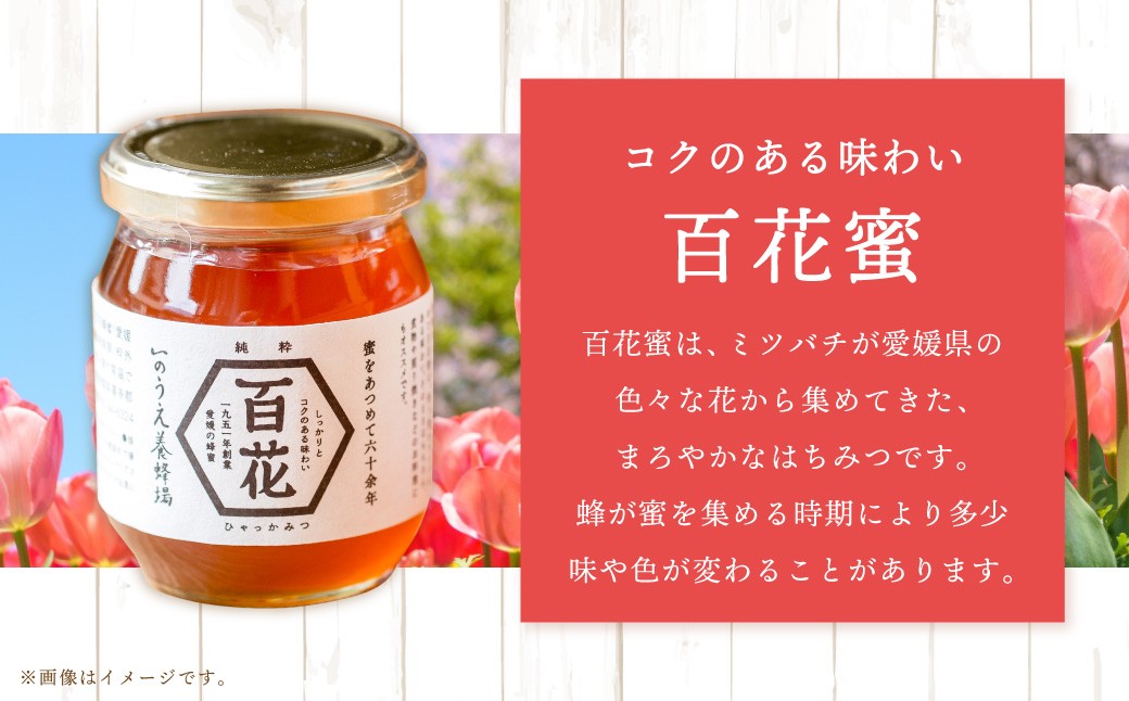 百花蜜 & 蜜柑蜜 セット（各300g） 計600g はちみつ ハチミツ 蜂蜜 【えひめの町（超）推し！（内子町）】（369）
