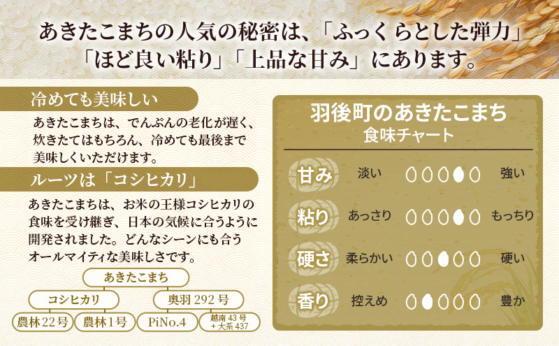 新米 先行予約［令和8年産］定期便 秋田県産 あきたこまち 15kg (5kg×3袋) 全6回 毎月お届け 羽後町産 [藤原商店]【米 お米 白米 精米 あきたこまち アキタコマチ 美味しい 秋田 羽