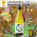 【ふるさと納税】2022ヴィンテージワイン (白)750ml｜北海道 白ワイン ぶとう アルコール お酒 酒 辛口 醸造 良質 自家製栽培 7品種のブドウ 記念日 贅沢 贈り物 プレゼント ギフト