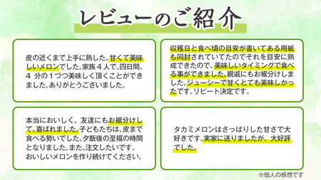 【 先行予約 6月上旬 以降発送】 令和6年産 八千代町産 タカミメロン 秀品 3玉 4.5kg 期間限定 産地直送 果物 フルーツ メロン 甘い [AX040ya]