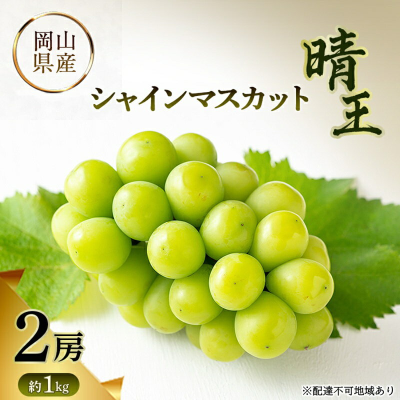 【ふるさと納税】シャインマスカット晴王 岡山県産 約1kg(2房) 果物 フルーツ ぶどう ブドウ 葡萄 国産 岡山　お届け：2026年9月1日～2026年10月31日