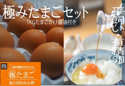 紀の国みかん 極みたまご TKGセット_DO6009n