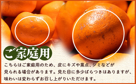 【２回定期便】露地みかん(2S～Mサイズ) 5kg 家庭用 訳ありみかん Wom-0008