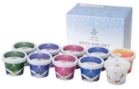 MS-74　大山乳業のアイスクリーム詰め合わせ「実りの収穫祭」（10個入り）