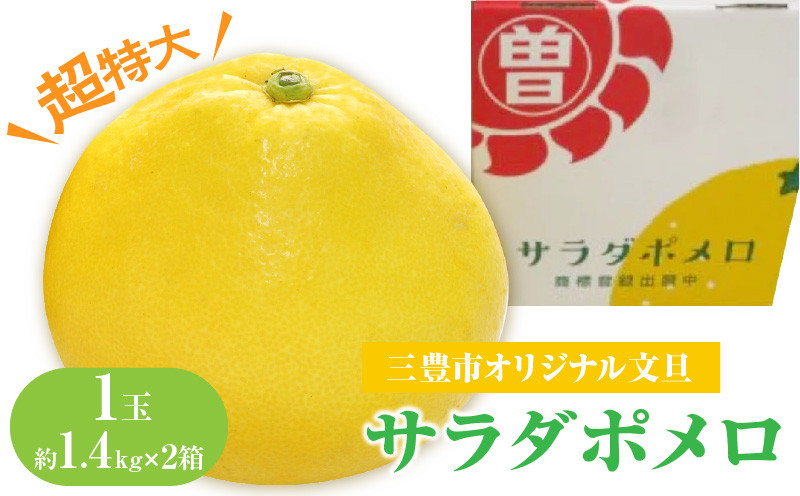 
            【ふるさと納税】【配送不可地域：北海道・沖縄県・離島】 みかん 文旦 1玉 約1.4kg以上 × 2箱 サラダポメロ 超特大 人の顔ほどの大きさ 皮が薄い 剥きやすい 糖度 高い 酸味 少ない 柑橘 さわやかな 香り 果実 フルーツ お取り寄せ 送料無料 香川県 三豊市  秋 旬
          