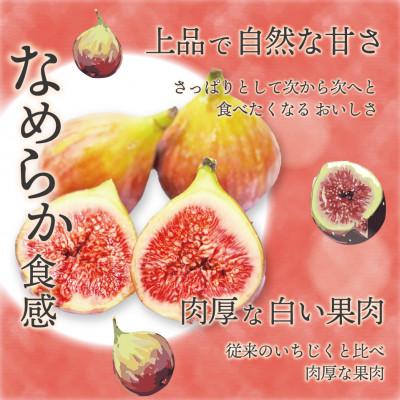 ふるさと納税 春日市 【2026年8月下旬〜26年10月下旬発送予定】福岡県ブランドいちじく「博多とよみつひめ」4パック |  | 01