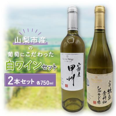 ふるさと納税 山梨市 【山梨市産】白ワインセット(2)